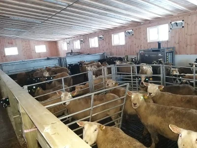 TK-Nord_Torpa-Sheep_Farm-2